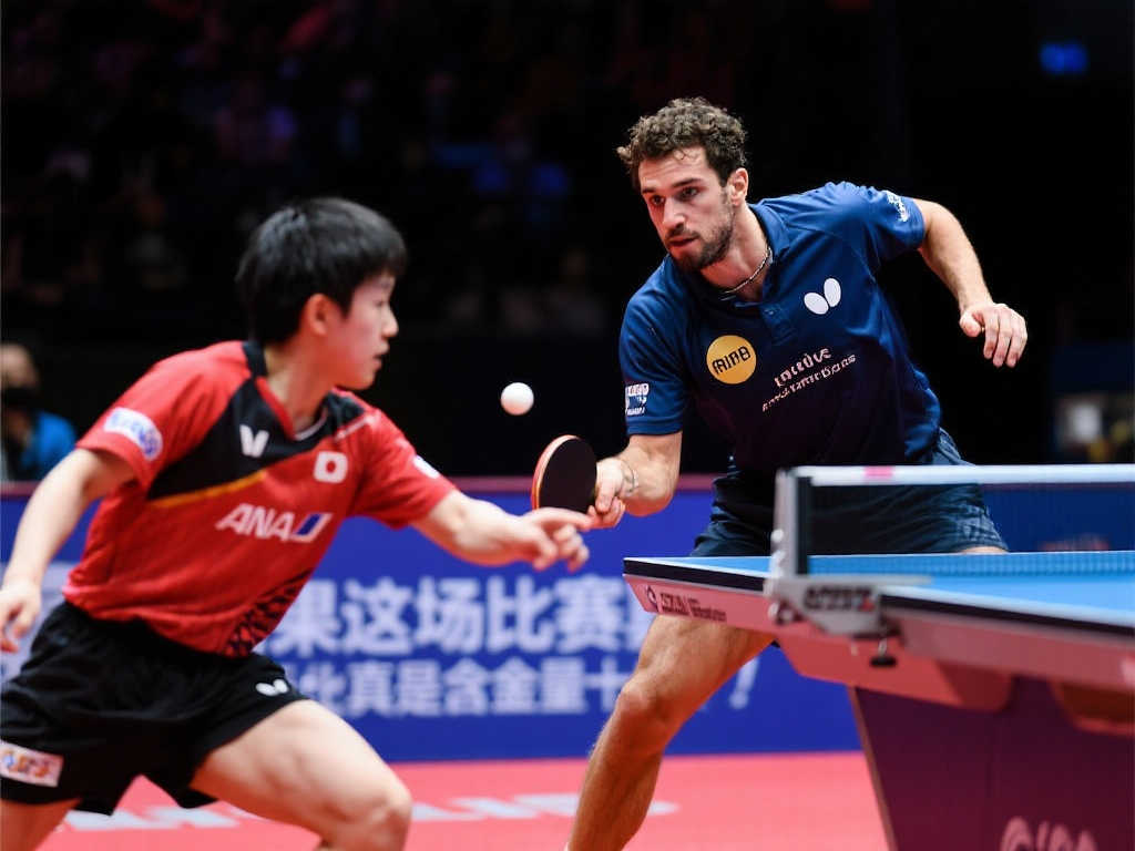 以某东欧球 以某东欧球